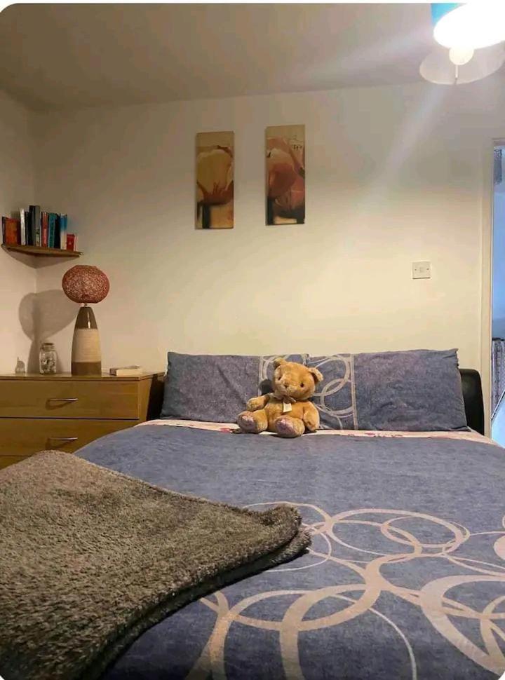 Castleton Lejlighed Belfast Eksteriør billede