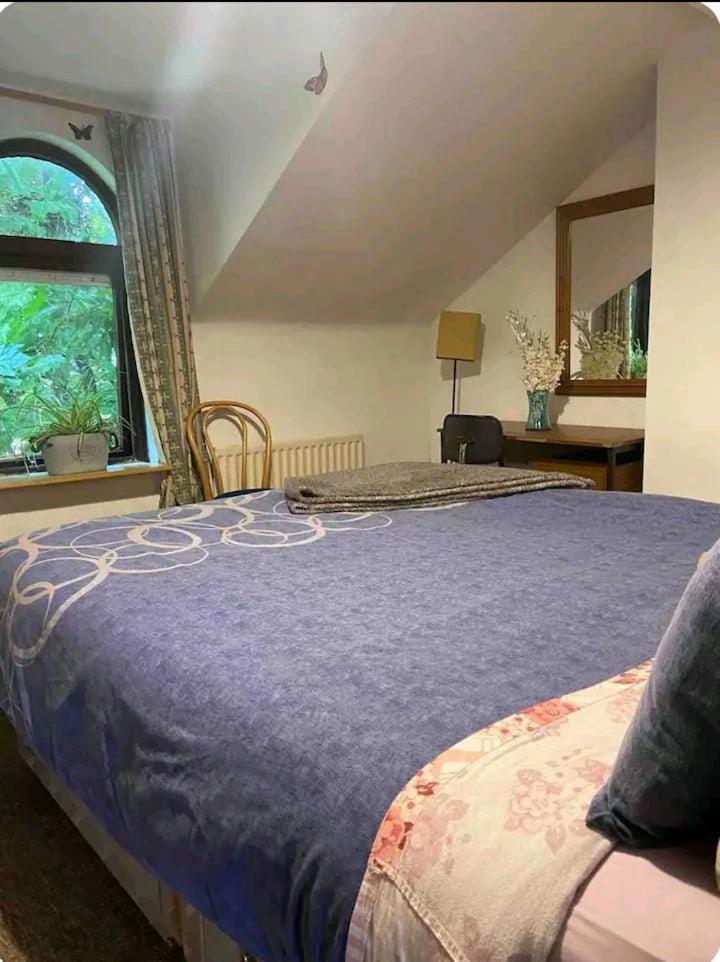 Castleton Lejlighed Belfast Eksteriør billede