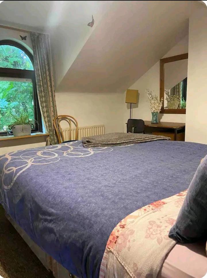 Castleton Lejlighed Belfast Eksteriør billede